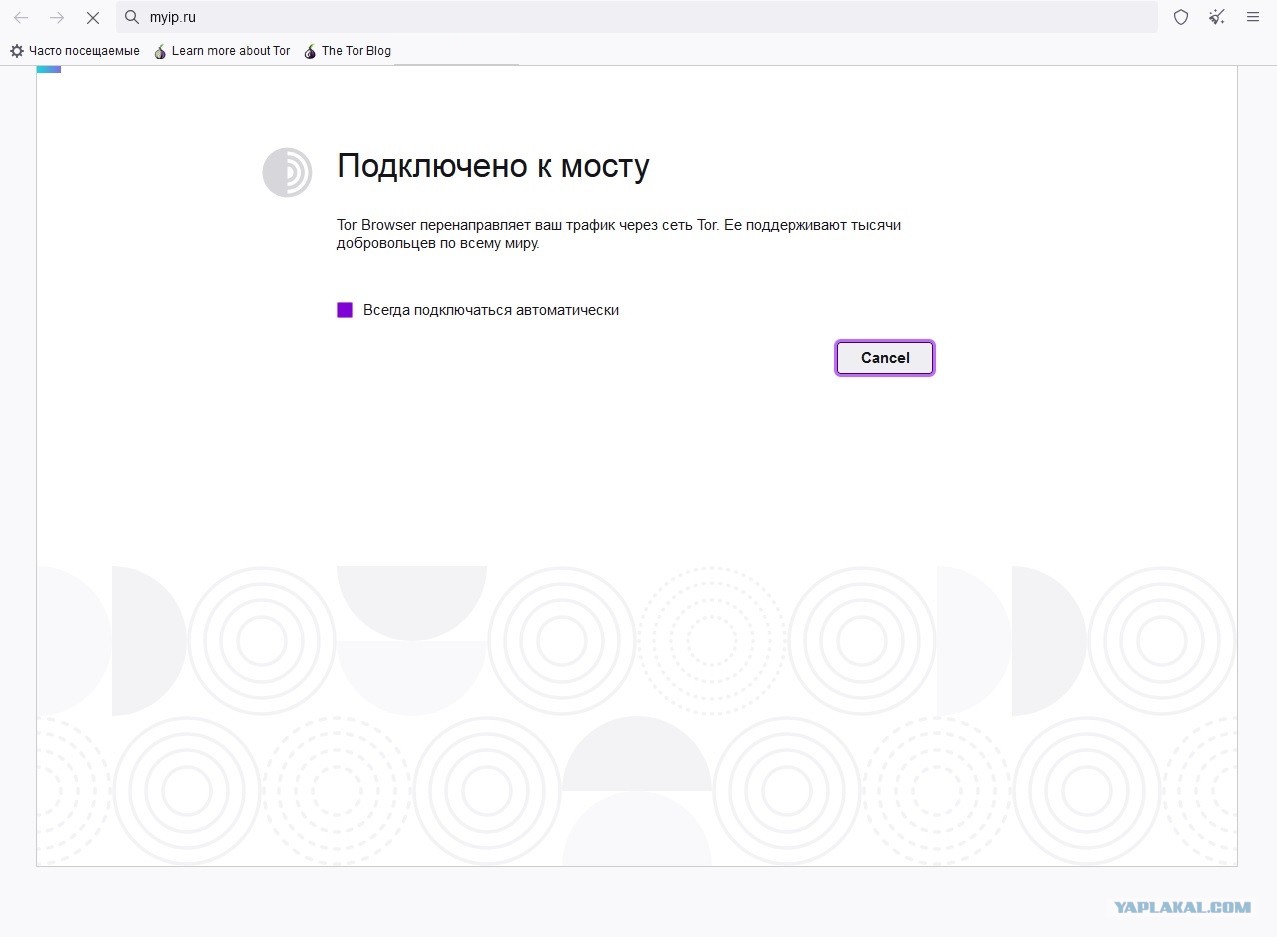 Сайт кракен закрыли