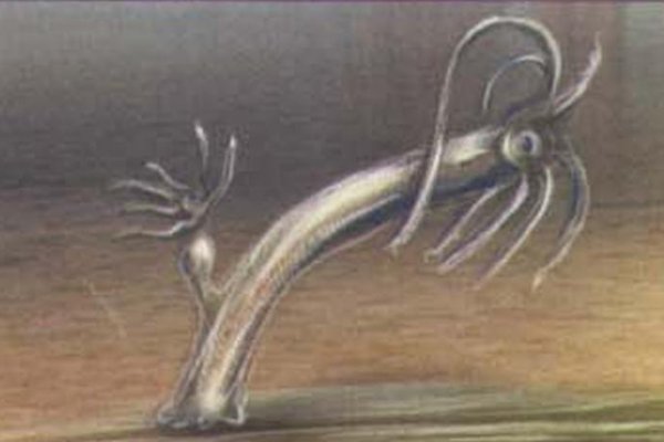 Kra38.at